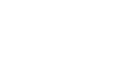 traveller
